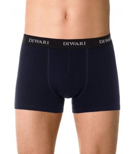 Diwari Basic Men MSH 2147