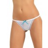 Jadea intimo 1482