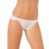 Jadea intimo 1591