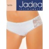 Jadea intimo 1606
