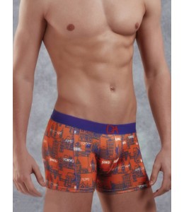 Doreanse boxer 1897