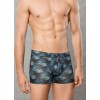 Doreanse boxer 1735