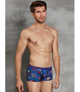 Doreanse boxer 1798