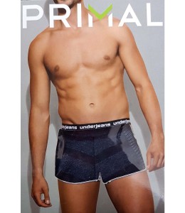 Primal boxer крупная полоса