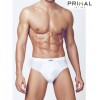 Primal 2206